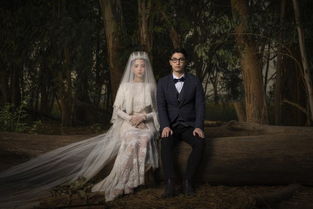 2021年香港商戶聯(lián)絡(luò)資訊 攝影服務(wù)精選