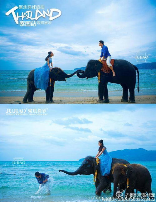 專業(yè)攝影 服裝與服務(wù)的完美融合，最吸引我的理由