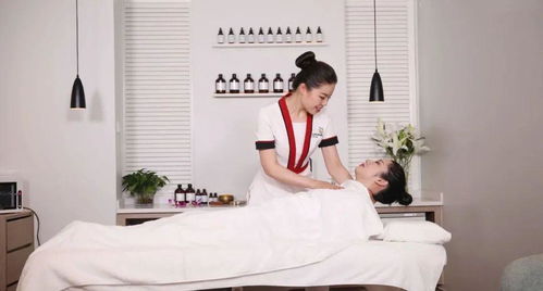 美容師國家職業(yè)等級認定教材拍攝圓滿收官 技術(shù)標準與服務(wù)規(guī)范的視覺詮釋