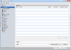 CubesQL數(shù)據(jù)庫管理系統(tǒng) v5.7.2 官方版下載與簡介