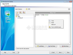EMS SQL Management for MySQL 使用教程 數據導出與數據庫管理詳解